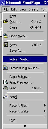 Select File - Publish Web...